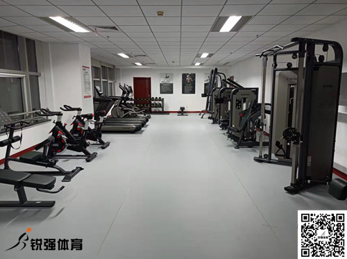 济南某集团采购的CQ9电子提供的健身器材